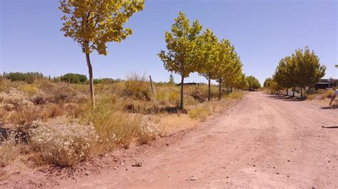 valle intimo neuquén|Valle Intimo En Neuquen Terrenos Lotes Venta.